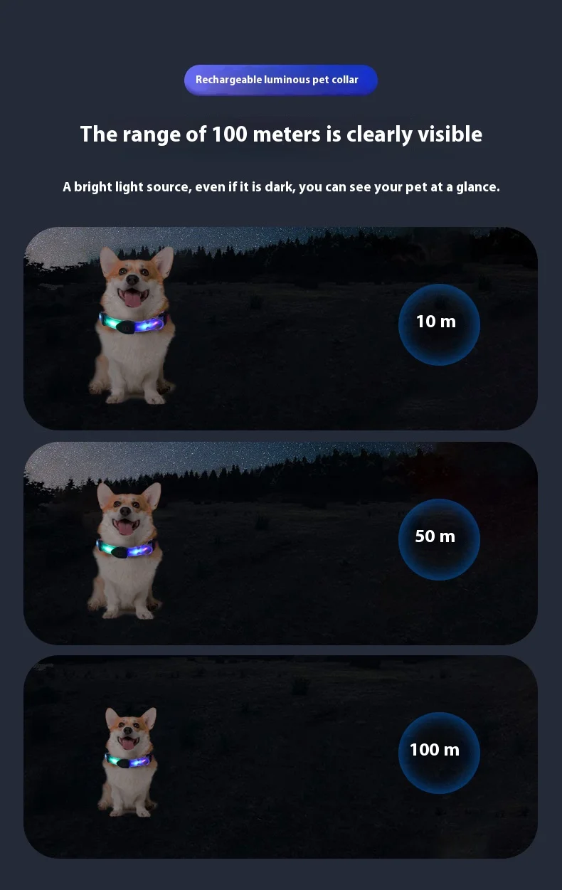 Colorful LED Luminous Collar Rechargeable Luminous Dog Rope Nylon - PeticaDeals