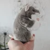 Chinchilla High Fidelity Anime Cute Plushie Hamster Plush Toys Lifelike Animals Simulation Stuffed Doll Kawai Toy Gifts For Kids 4