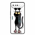 H10.CH.60
