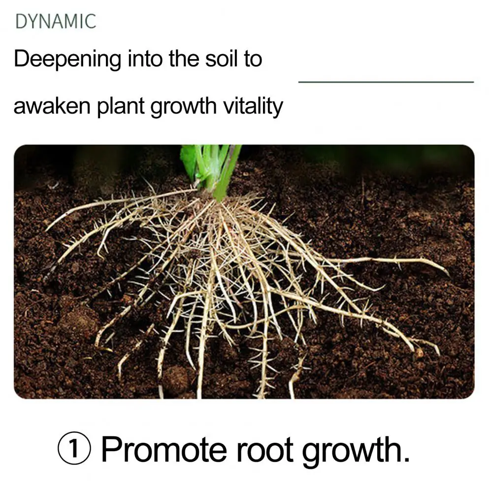 Customizable Npk Fertilizer for Home Gardening Plant Fertilizer Phytonutrients for Healthy Growth Slow-release Fruits
