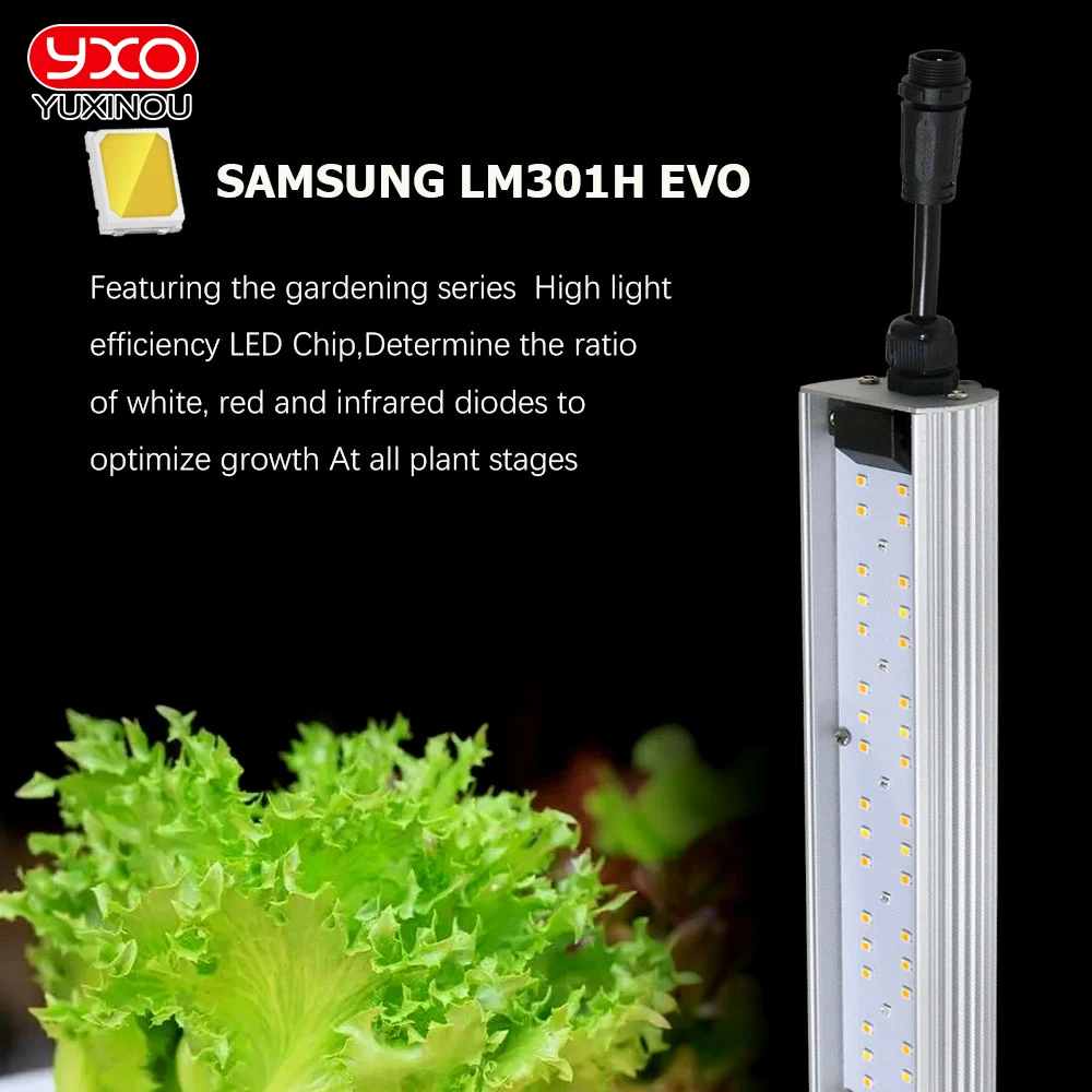 Hydroponics Sam-sung Lm301H EVO Quantum LED Grow Light Tube Bar Full Spectrum LED Phyto Lamp For Indoor Flower Tent Plant Growth