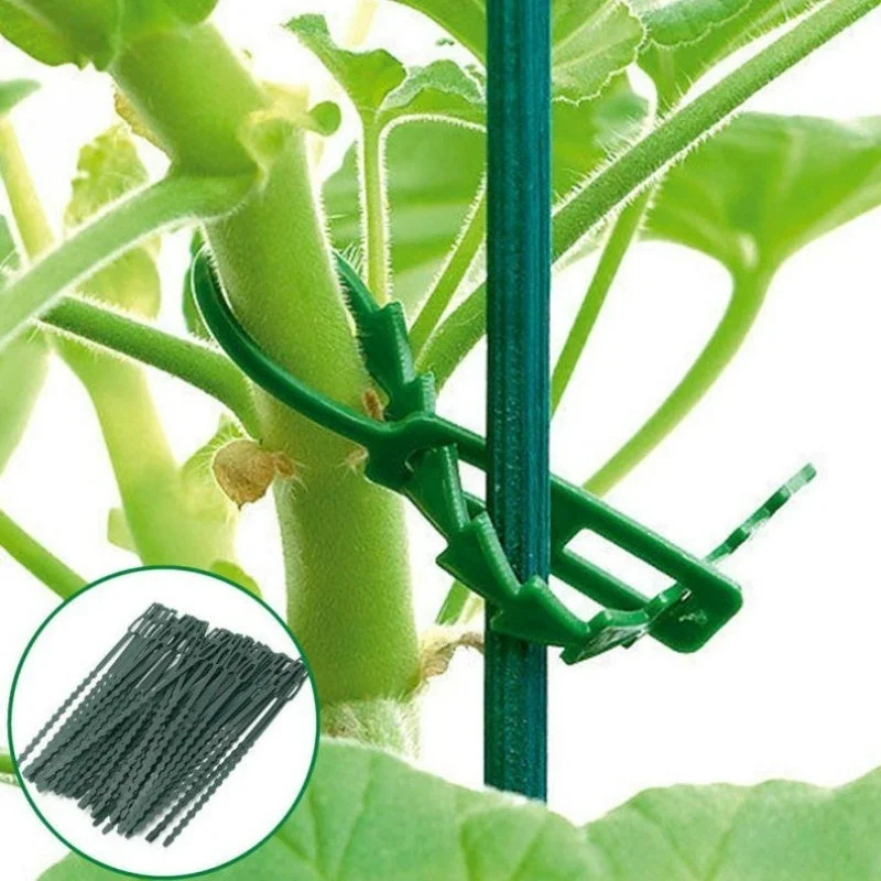 

50pcs Adjustable Plastic Plant Cable Ties Reusable Cable Ties for Garden Tree Climbing Support Plant Vine Tomato Stem Clip