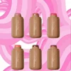 American Rode Blush Stick Cream New Hailey Lip and Cheek Pocket Rouge Piggy Authentic Girl Cosmetics 5