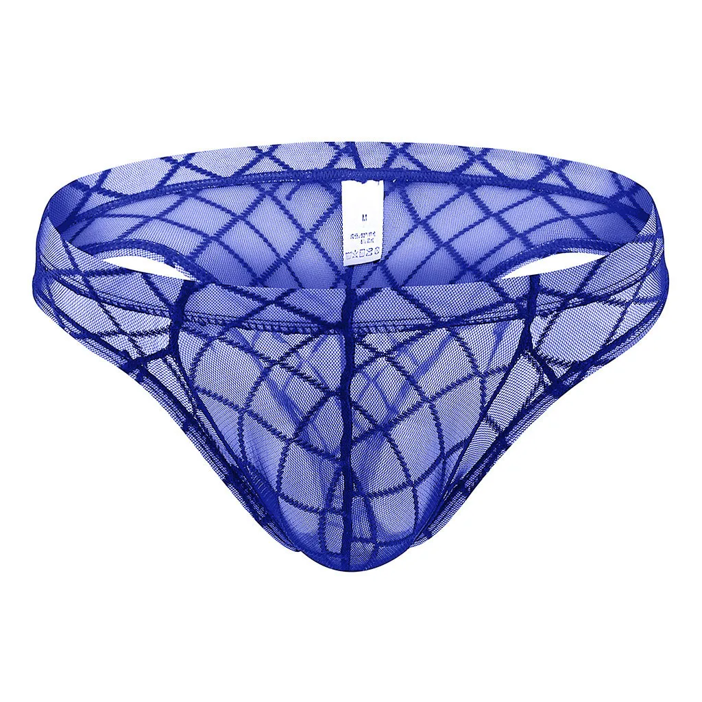 Homme Men's Panties Transparent Mesh Sexy Underwear Lowwaist