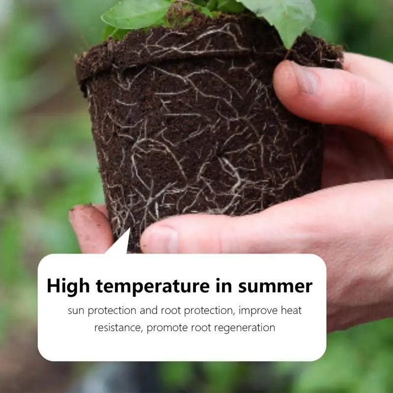 Plant Growth Enhancer Supplement 50ml Liquid Fertilizer Plant Growth Enhancer Plants Nutrient Supplement Promotes Rooting plants