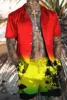 New Fashion Hawaiian Print Short Sleeve Shirt Set Men's Beach Coconut Print Shorts Men's Daily Beach Shirt Two-piece 5