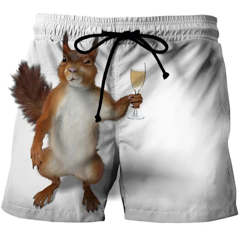 Funny Animal Squirrel Graphic Short Pants Summer Fashion  Cute Pet 3D Printed Beach Shorts For Men Casual Trunks Gym Trousers 3