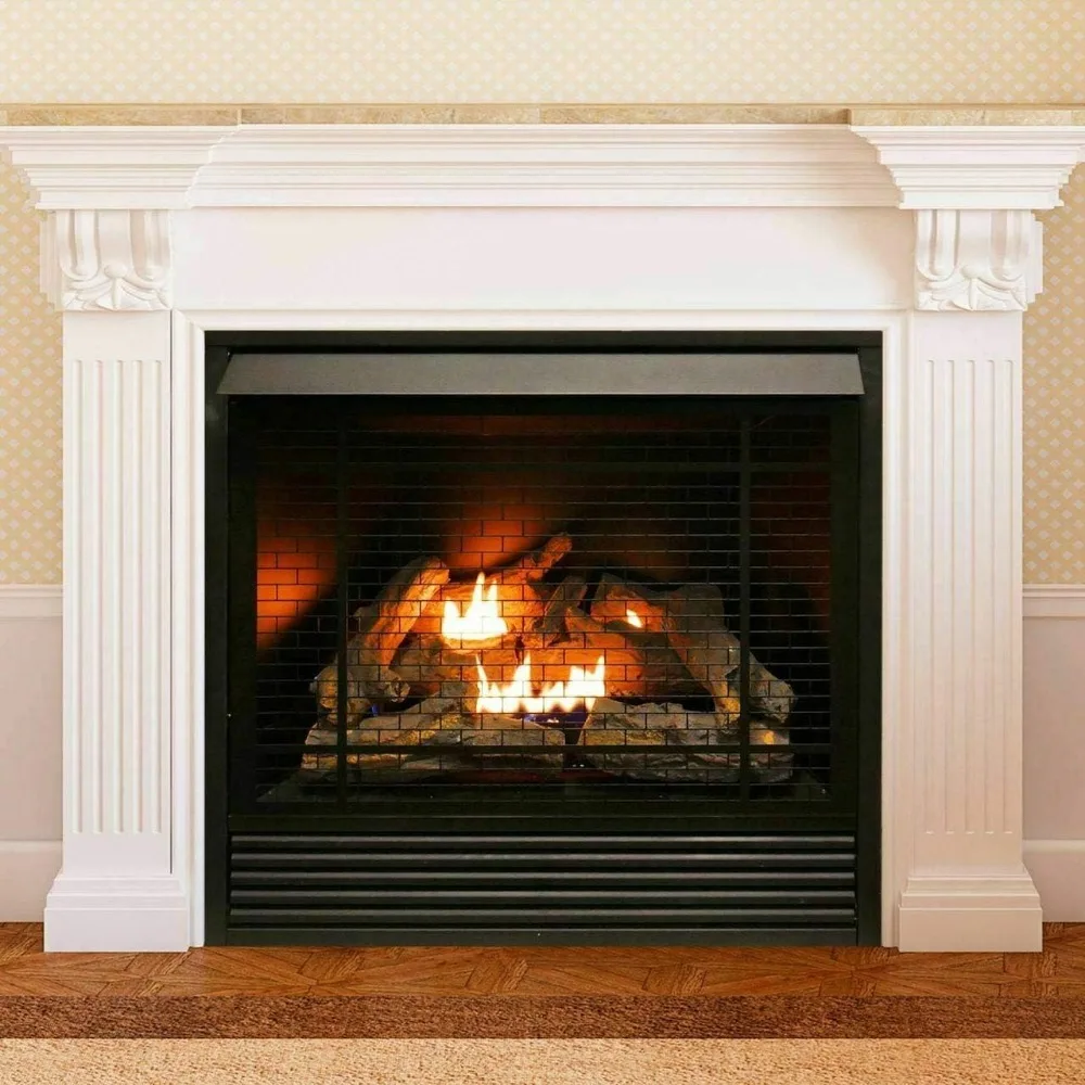 Dual Fuel Ventless Gas Fireplace Insert, Remote Control, 9 Fire Logs, Use with Natural Gas or Liquid Propane 4