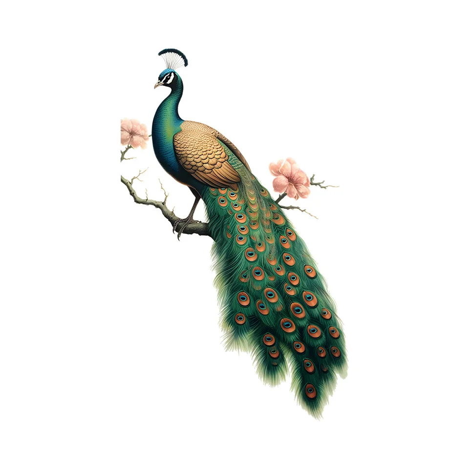 Pavão pintados ramos adesivos de parede decorativos, sala atmosfera, casa  quarto, auto-adesivo, 1pc - AliExpress, image size:960x960