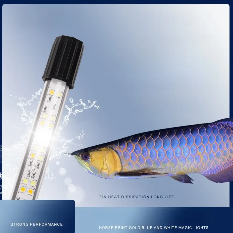 Lampada magica MAYIN, luce speciale Arowana, luce impermeabile a LED per acquario, doppia modalità, illuminazione schiarente bianca blu oro