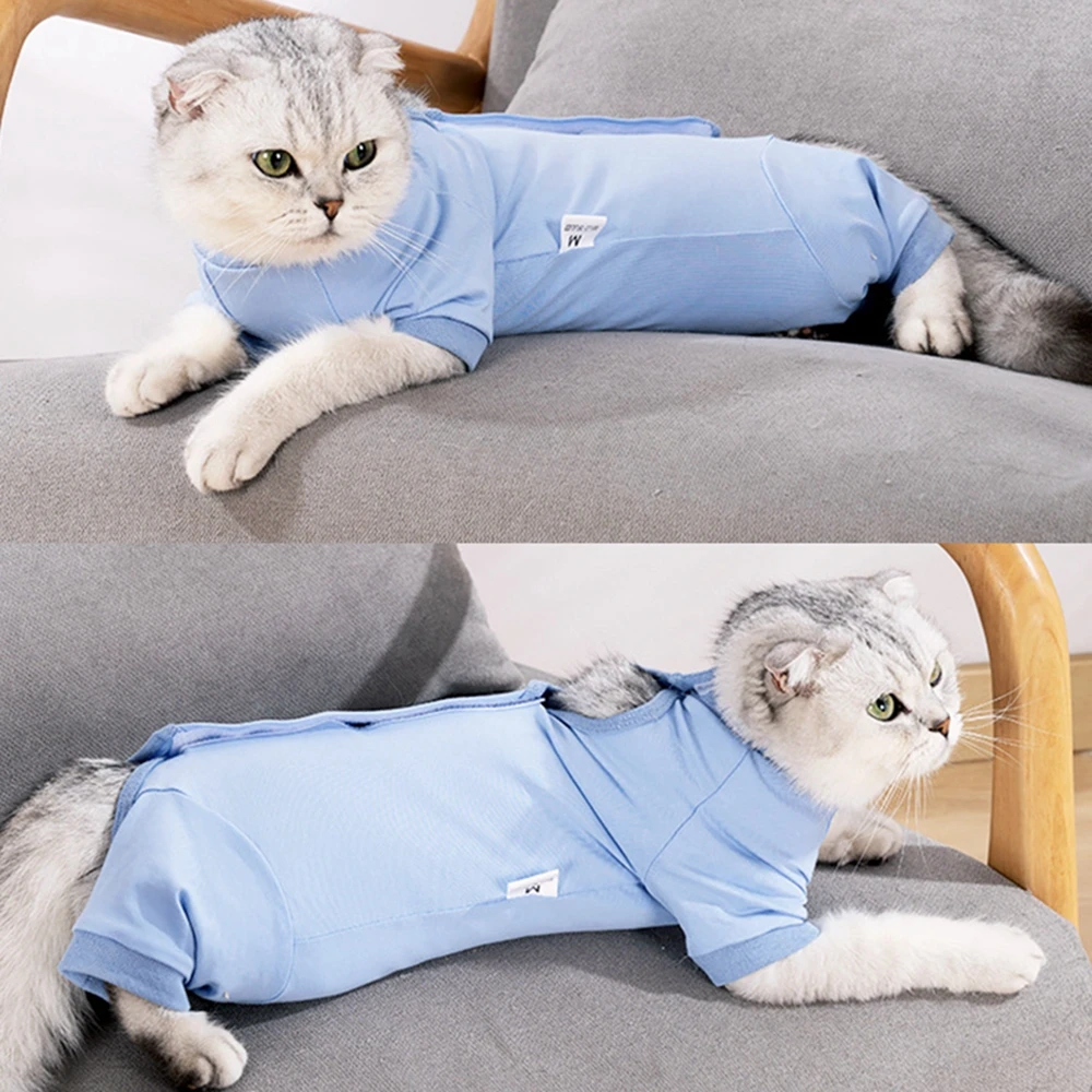 2er-Pack Katzen-Erholungsanzug Nach OP – Für Weibliche Katzen, Atmungsaktiv, Verstellbar, Nach Sterilisation & Bauch-OP