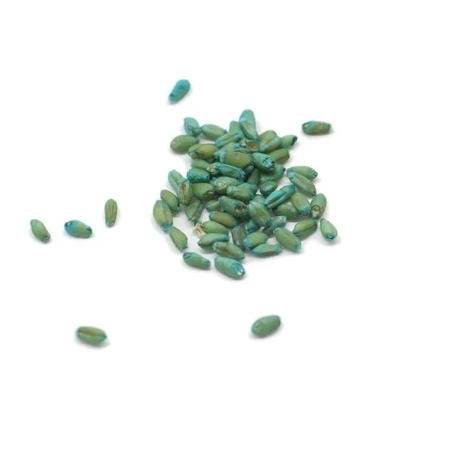 Hatékony Egér Patkány Raticid Gyógyszerek, Megölve A Csali Patkánymérgező Egerek Gyógyszerek Power Patkánypatorító Megölése Az Otthoni Kert Számára - Image 6