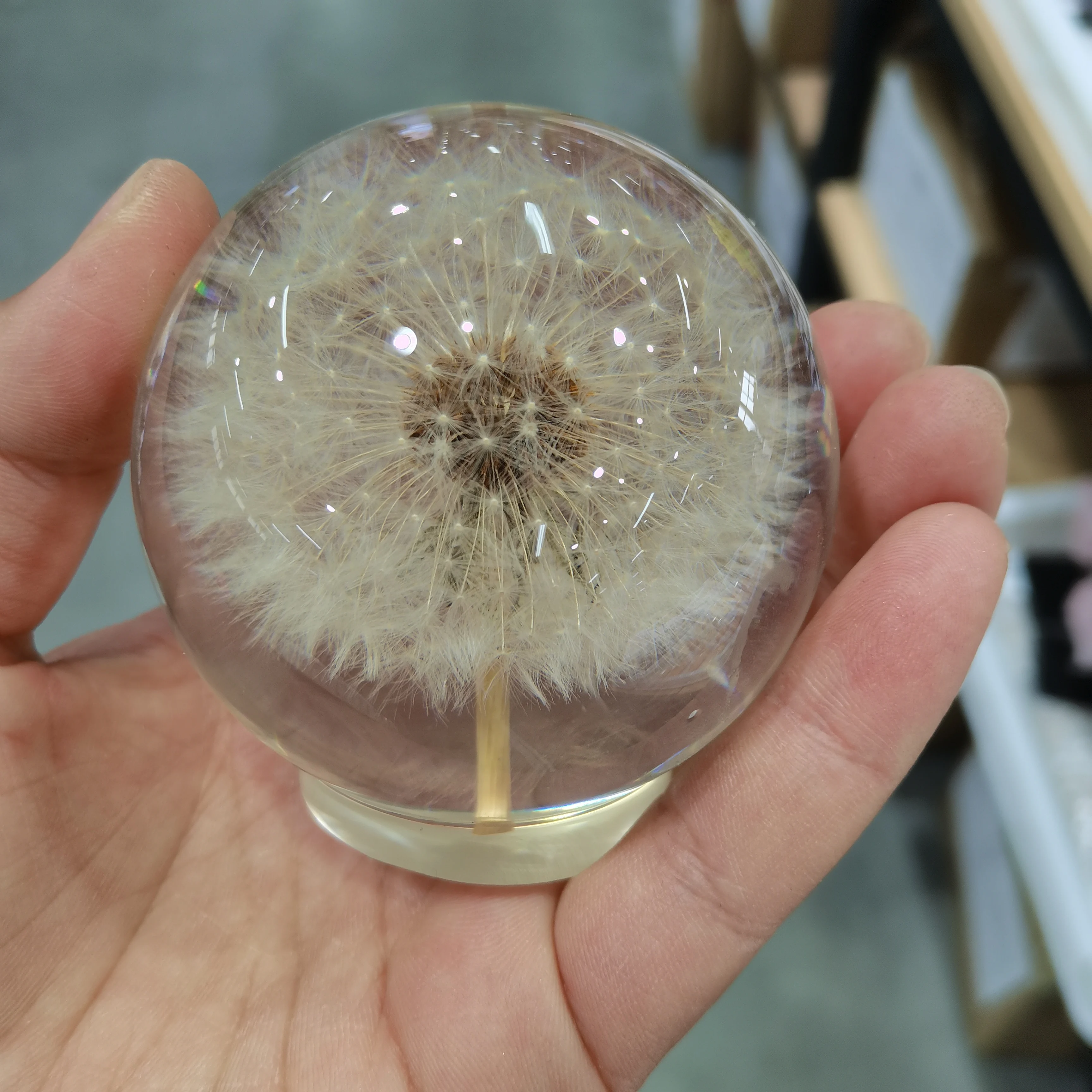 花の形をしたクリスタルガラスのタンポポ,直径65〜70mm,クリスマスプレゼントとして最適,1ユニット