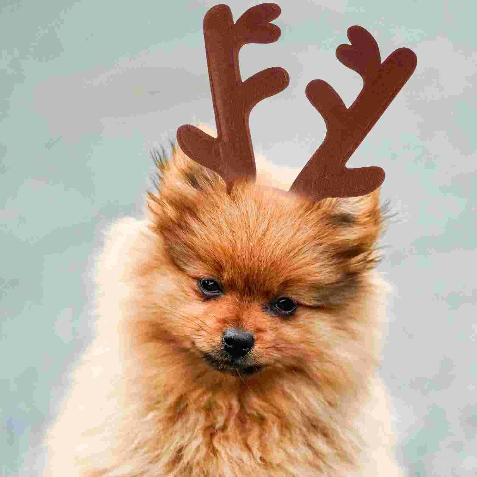 

Miniature Plastic Reptile Safety Hat Decoration Lightweight Lizard