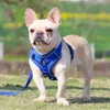No Pull Dog Harness and Leash Set Adjustable Pet Harness Vest for Small Dogs Cats Reflective Dog Chest Strap Lead Walking 6