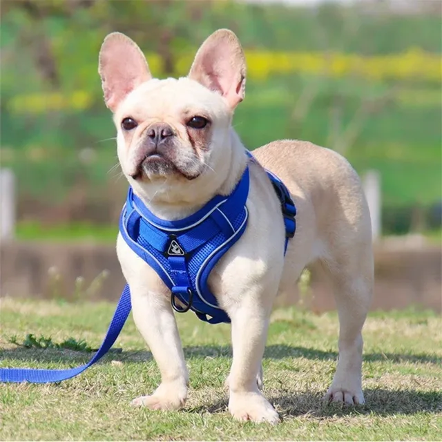 No Pull Dog Harness and Leash Set Adjustable Pet Harness Vest for Small Dogs Cats Reflective Dog Chest Strap Lead Walking 6