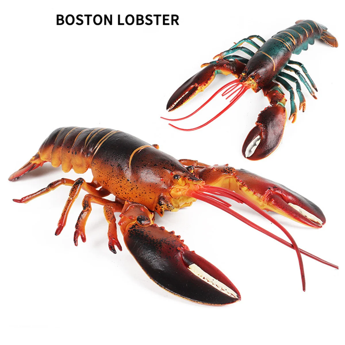 

Large Size Boston Lobster Model Homarus Americanus Wild Animal Figure 33cm Collector Scene Decor Gift Toy Photography Props