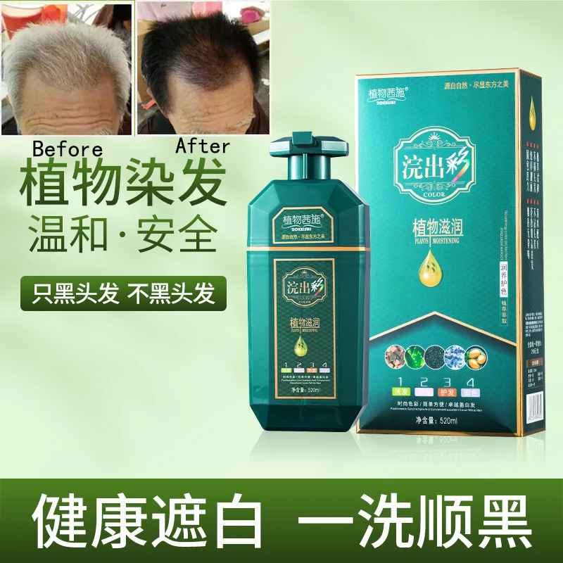 

520ML Fashion Hair Dye Shampoo Bubble Plant Hair Dye Household Easy-to-wash Black Pant Hair Color Washing Hair Color Cream