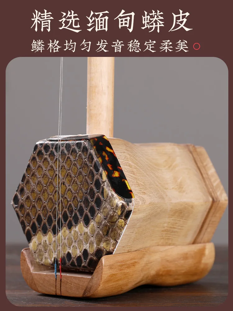 SevenAngel Erhu Musical Instrument Simplifies Head Professional Polymer Erhu Skin Can Pass Through Customs Smoothly