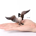 Canadian goose