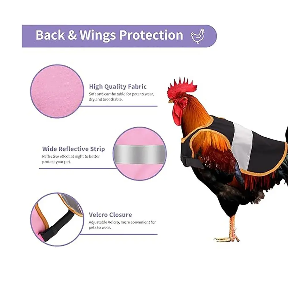 GREMBIULE DI POLLO Grembiuli Per Galline Sella Gallina Con Elastico Da Cinghia EUR 6,78