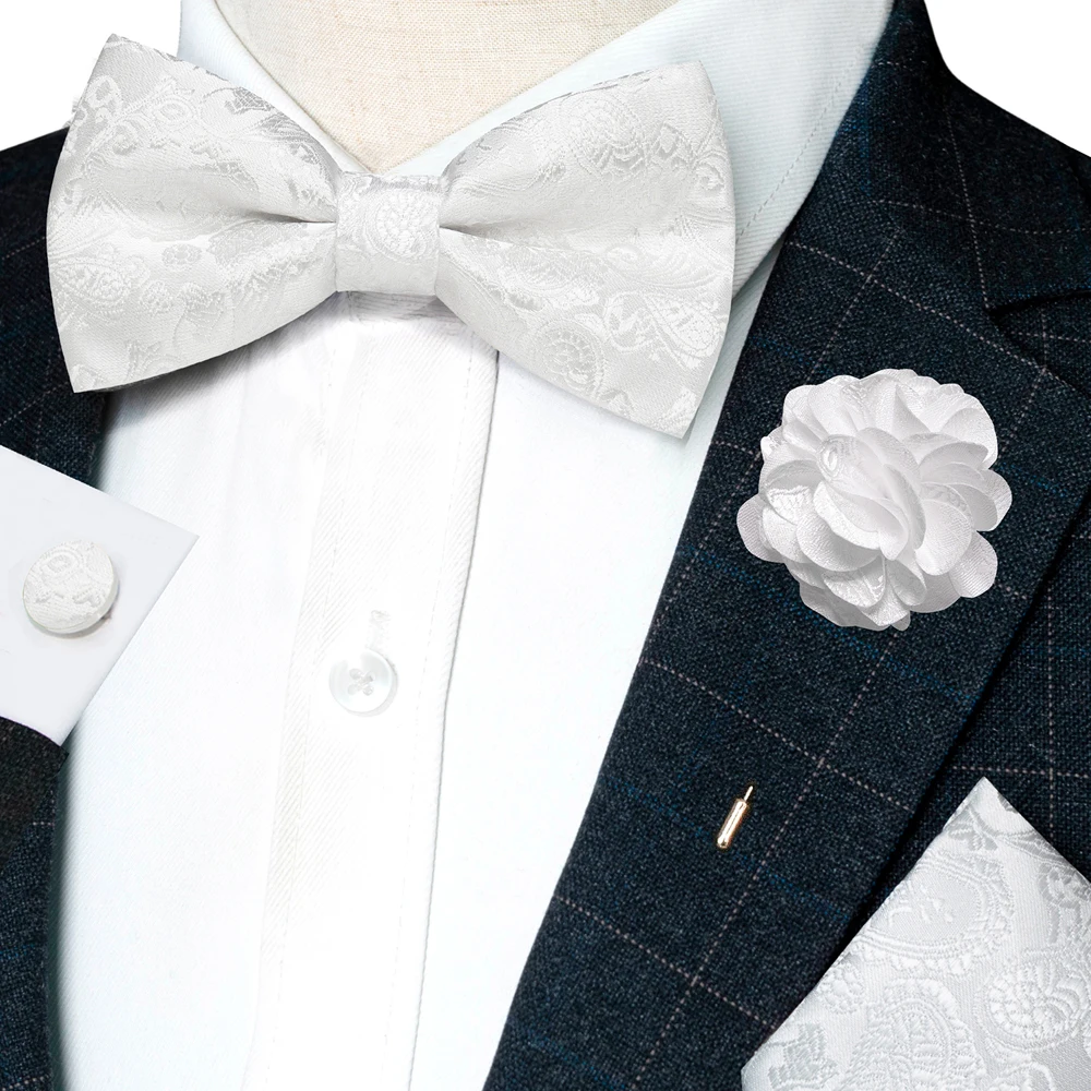Champagne Silk Jacquard Paisley Bow Tie Set - Pre-tied Bowtie Brooch Hanky  Cufflinks for Weddings  Business