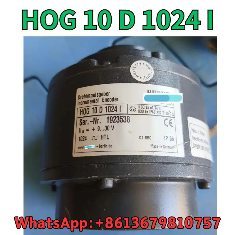 Hog 10. Hog 10
