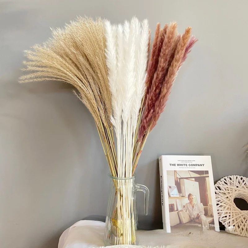 

Natural Reed Dried Flower White Brow Big Pampas Grass Bouquet Wedding Flower Ceremony Decoration Modern Home Decoration