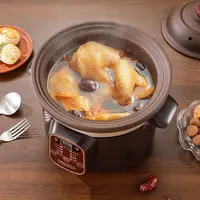 Marmite à ragoût électrique, marmite à soupe, casserole domestique, sable violet, tasse à ragoût automatique en céramique, cuisson du bouillie 4