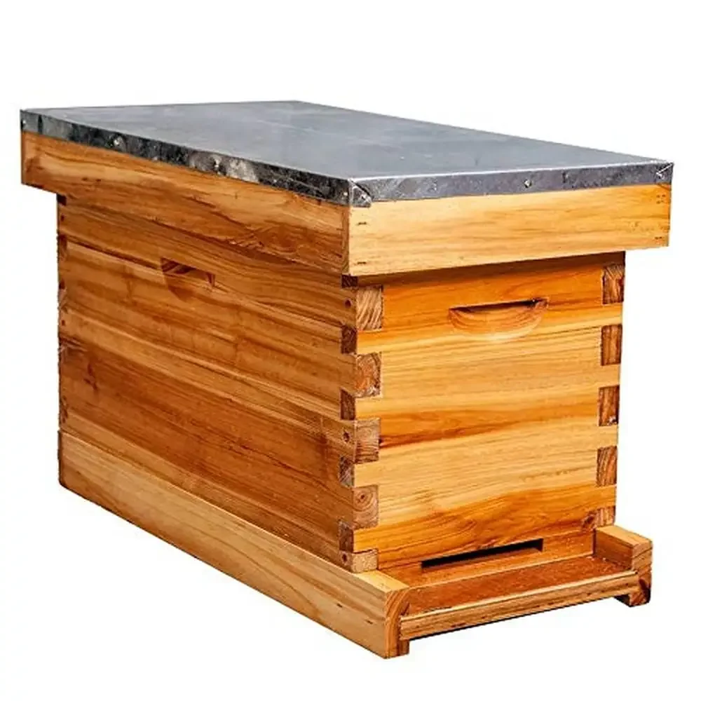 5-Frame Complete Bee Hive Kit with Dovetail Joints & Vented Boards Metal Roof Wooden Frames & Wax Foundations Langstroth Hive