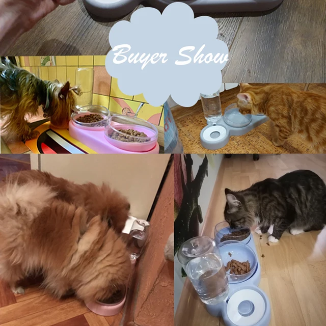 Hoopet 3 Bowls Tilt Raised Design Pet Dog Cat Food Bowls 500ML Water Bottle, Protect Pet's Spine, Drink and Food Bowls for Cat 5