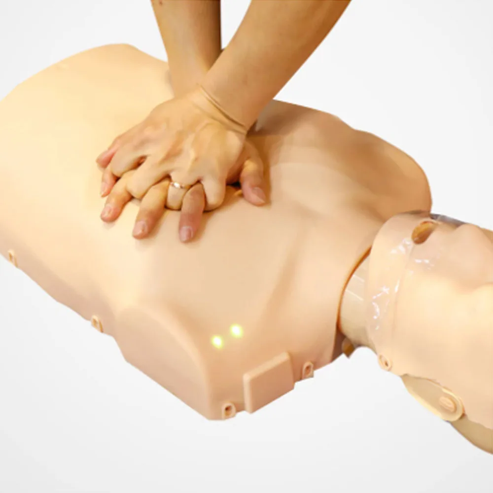 DARHMMY Adjustable Medical Science Half Body CPR Training Mannequin Manikin CPR Simulator For Adults And Children Manikins