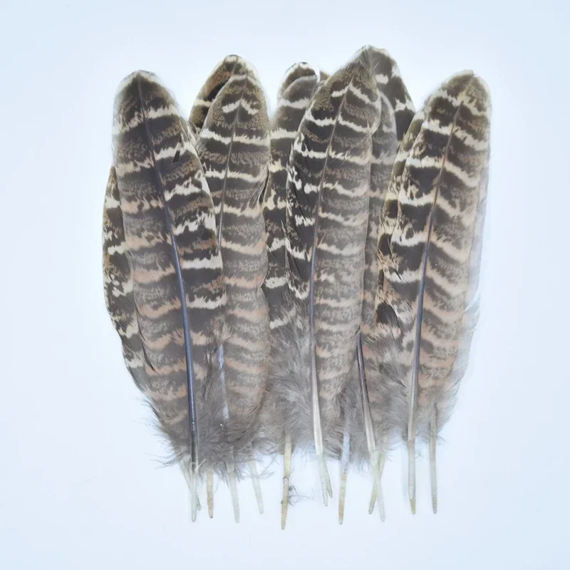 Natural Pheasant Peacock Feathers for Needlework Handicraft Accessories Feather Decor Wedding Carnaval Decoration