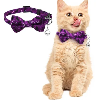 zi-cat-bow-tie