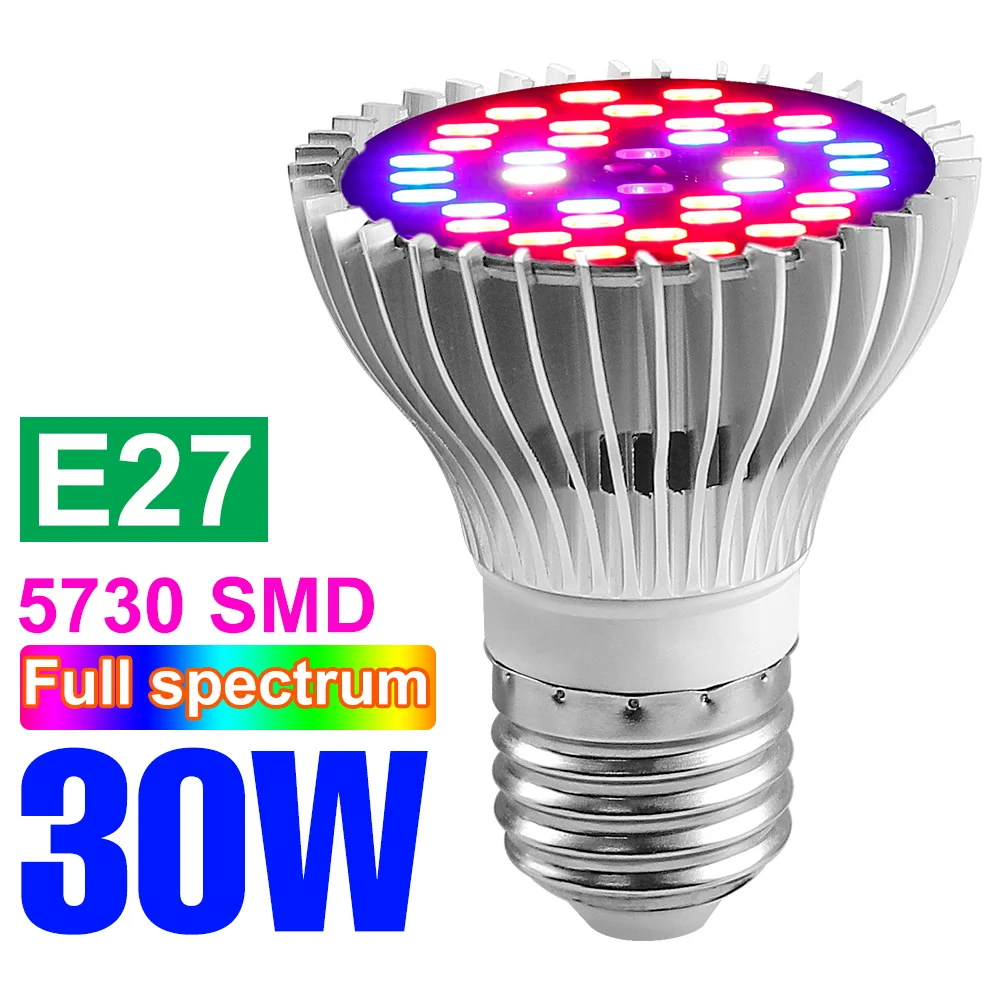 E27 30W