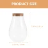Micro Landscape Ecological Bottle Terrarium Plants Glass Containers Decor Hydroponic Propagation Station DIY Betta 2