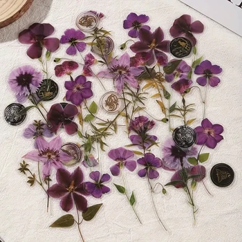Dried Flower PET Sticker Set 1