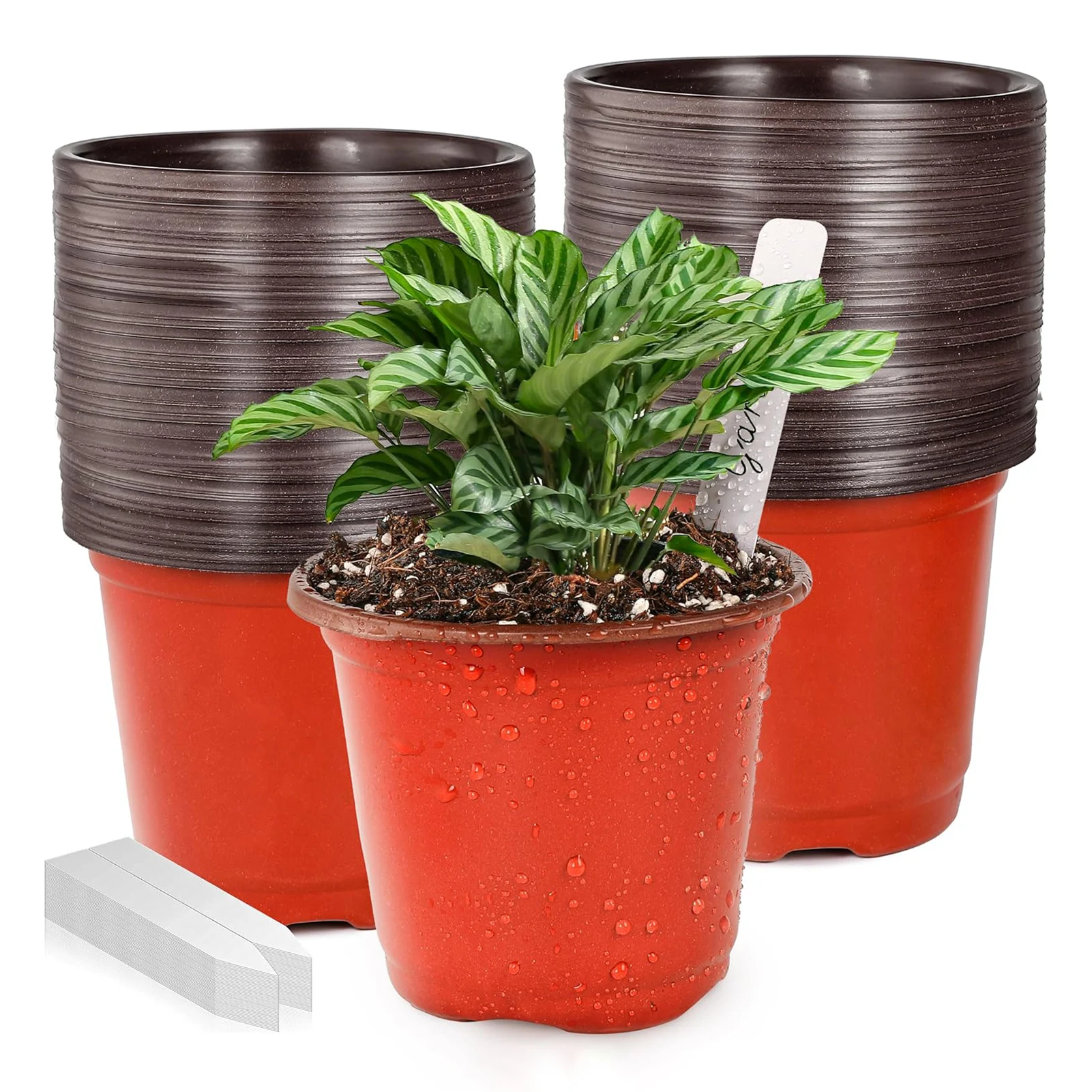 100 Stück Blumentopf-Kunststoff-Wachstumsbox, sturzsicheres Tablett für Zuhause, Garten, Pflanzen, Kinderzimmer, Tasse, Transplantateflower, 10,2 cm, Blumentöpfe