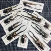 Medallion fine body red spade specimen CMF true beetle insect handicraft material collection spade Art  home decor 4
