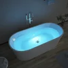 Freestanding Bathtub Factory Cheap Price 67 Inch Cupc Luxury Adult Soaking Tub Custom Colors Jets Acrylic Indoor Bathroom Tubs 1