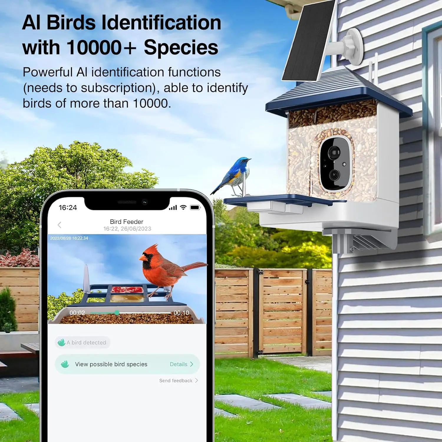 AI Smart Bird Feeder Camera 6