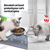 ‌304 Stainless Steel Raised Cat Bowl with 15° Elevated Design Tilted Neck Guard Healthy Feeding Shatterproof for Cats Puppies 2