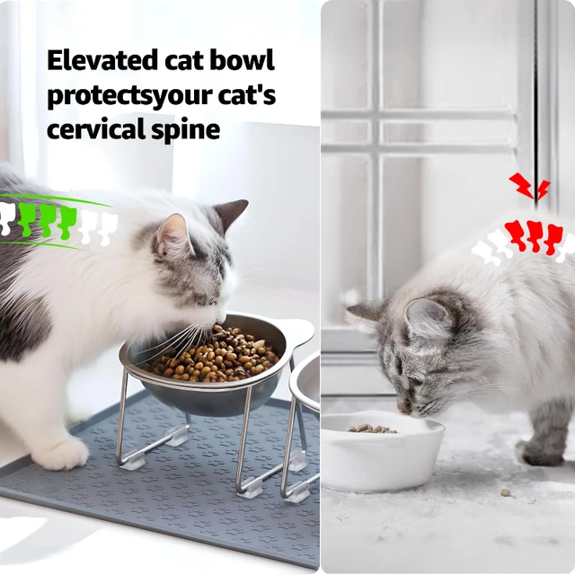 ‌304 Stainless Steel Raised Cat Bowl with 15° Elevated Design Tilted Neck Guard Healthy Feeding Shatterproof for Cats Puppies 2