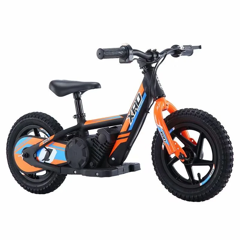 Electric Balance Scooter, Bicycle 