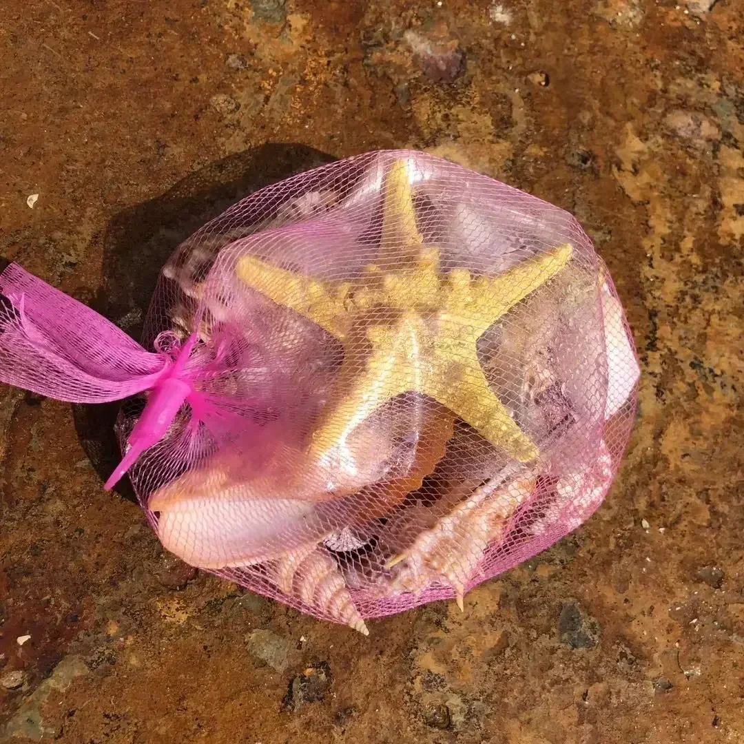 Shell Fish Tank Landscaping Small Conch Shell Handmade