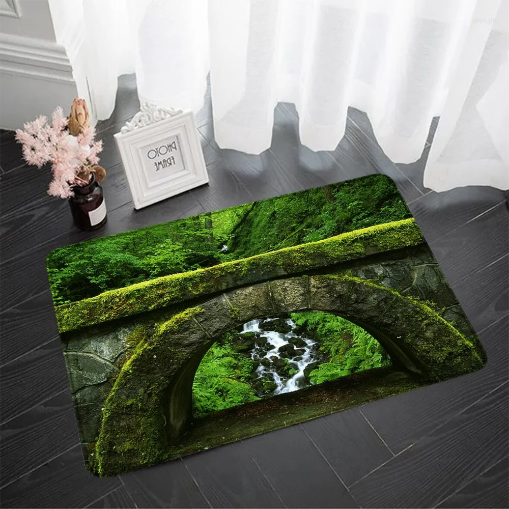 

Товары для украшения дома, аксессуары, ландшафт озер и гор, наружный Придверный коврик, входная дверь, дом, кухонные коврики на заказ