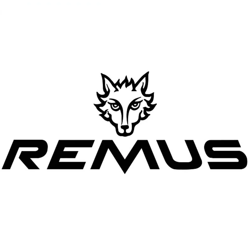 

Индивидуальный вкус Автомобильная наклейка для REMUS автомобильный и мотоциклетный шлем внешняя водонепроницаемая Солнцезащитная Виниловая аппликация