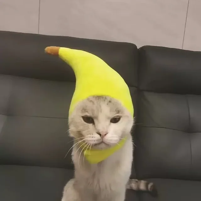 Cute, Adjustable Pet Hat with Transformation Feature. Soft, Fun Design - Banana & Duck Cartoons for Cats 4