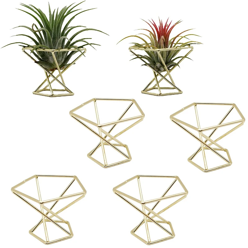 

Geometric Air Plant Holder Airplants Rack Metal Plants Stand Planter Shelves Himmeli Decor Tillandsia Containers