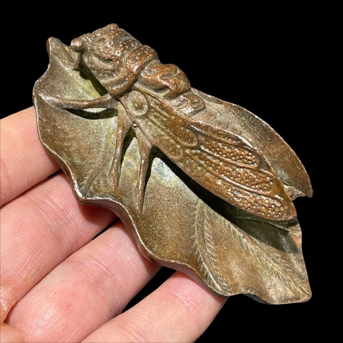 maple leaf cicadas became famous overnight and made a stunning name  themselves such as study, paperweight, ruler table, and pet